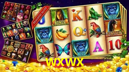 wxwx Salvador - Promo Stats