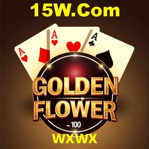 wxwx Brasília - Crash Guide