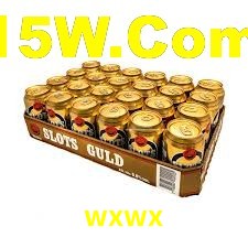 Experimente o Login Seguro Premium no wxwx